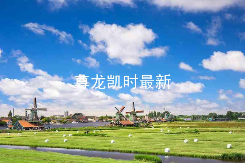 尊龙凯时最新