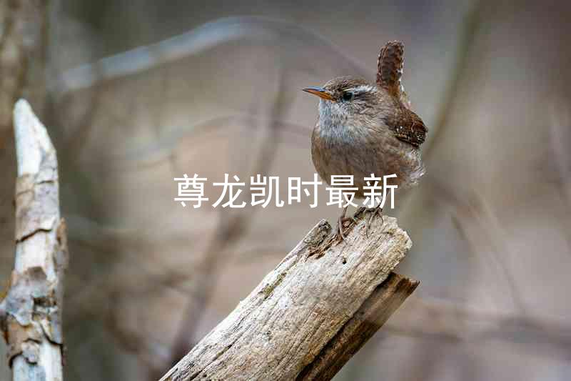 尊龙凯时最新