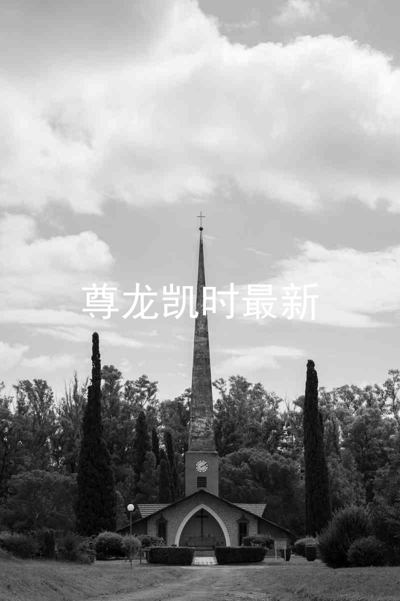 尊龙凯时最新