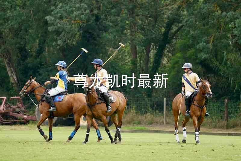 尊龙凯时最新