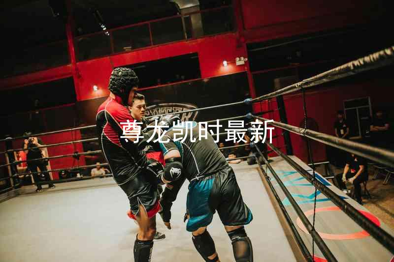 尊龙凯时最新
